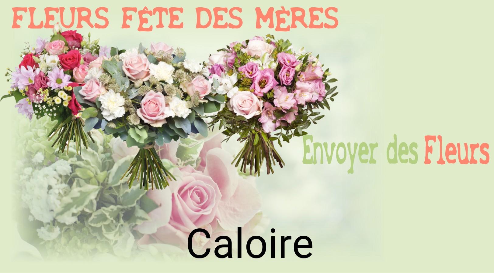 Bouquet de Fête des Mères livré à Caloire
